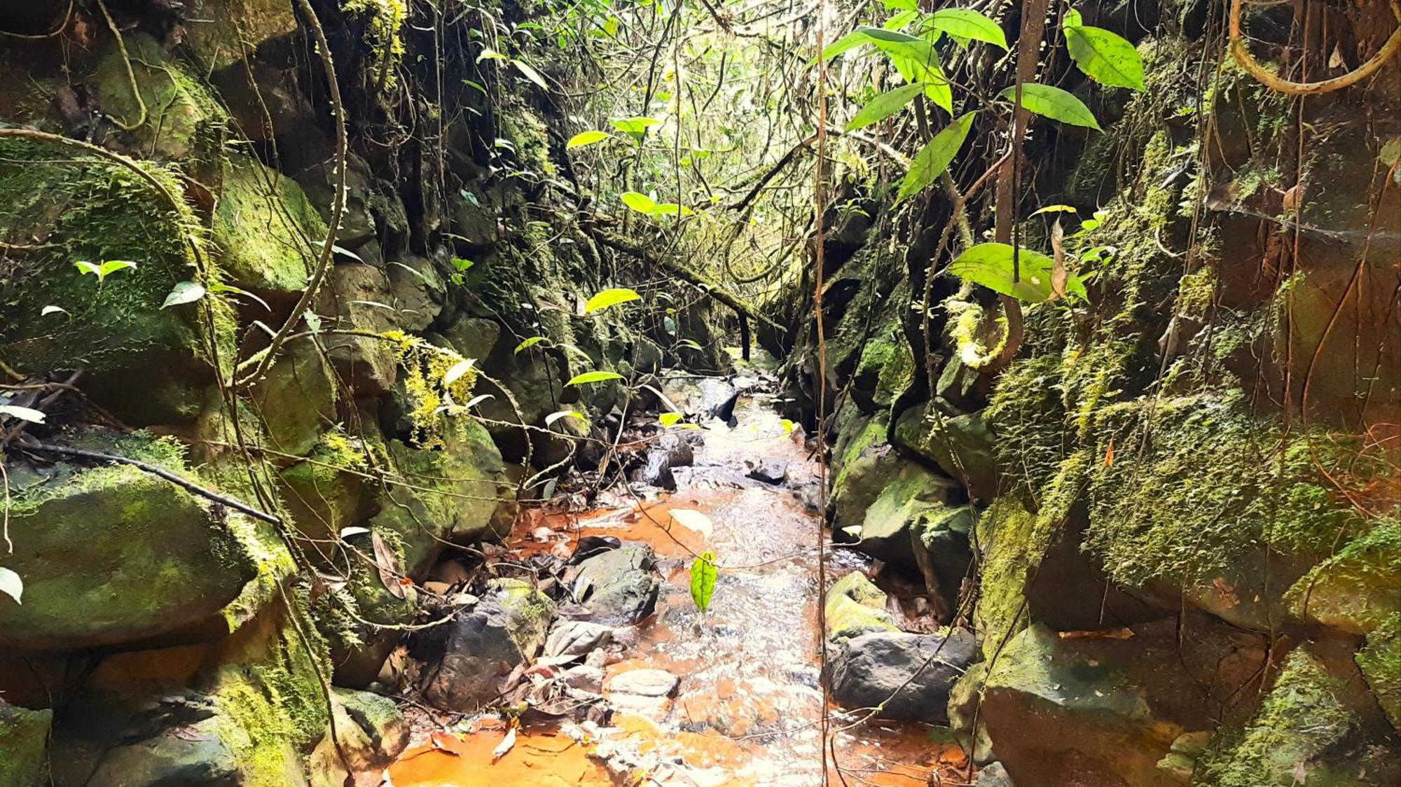 Encanto Minicasitas En Medio De La Naturaleza Santa Elena (Antioquia) Exterior foto