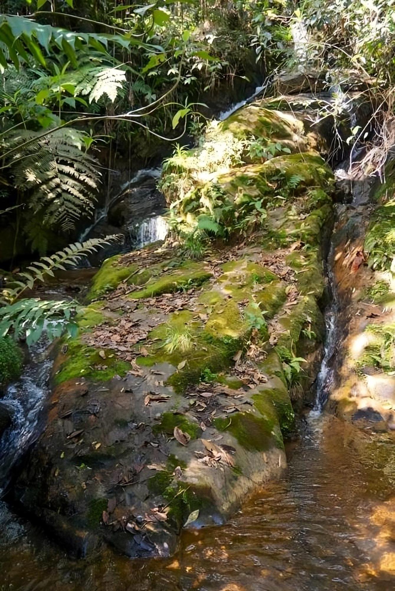 Encanto Minicasitas En Medio De La Naturaleza Santa Elena (Antioquia) Exterior foto