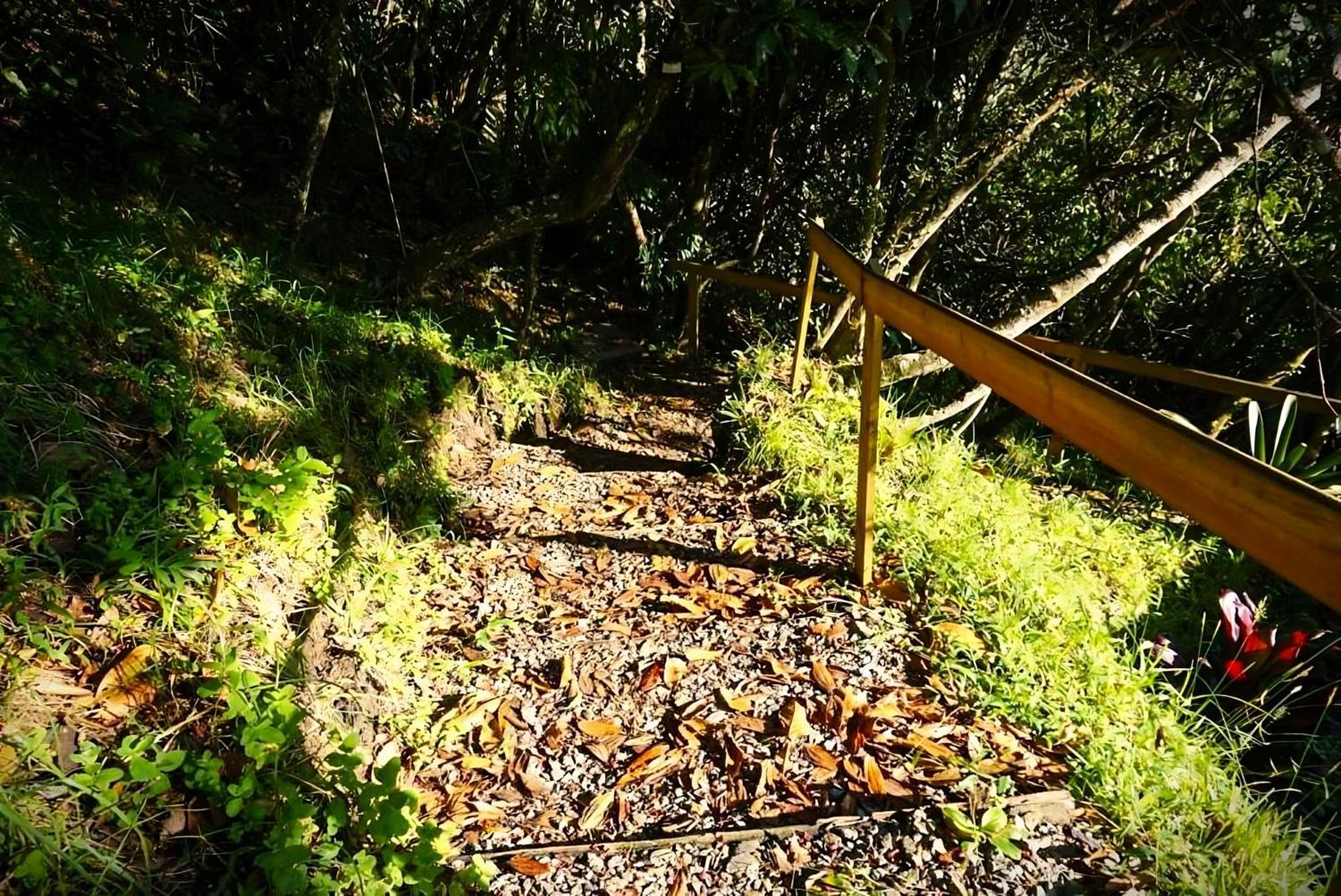 Encanto Minicasitas En Medio De La Naturaleza Santa Elena (Antioquia) Exterior foto