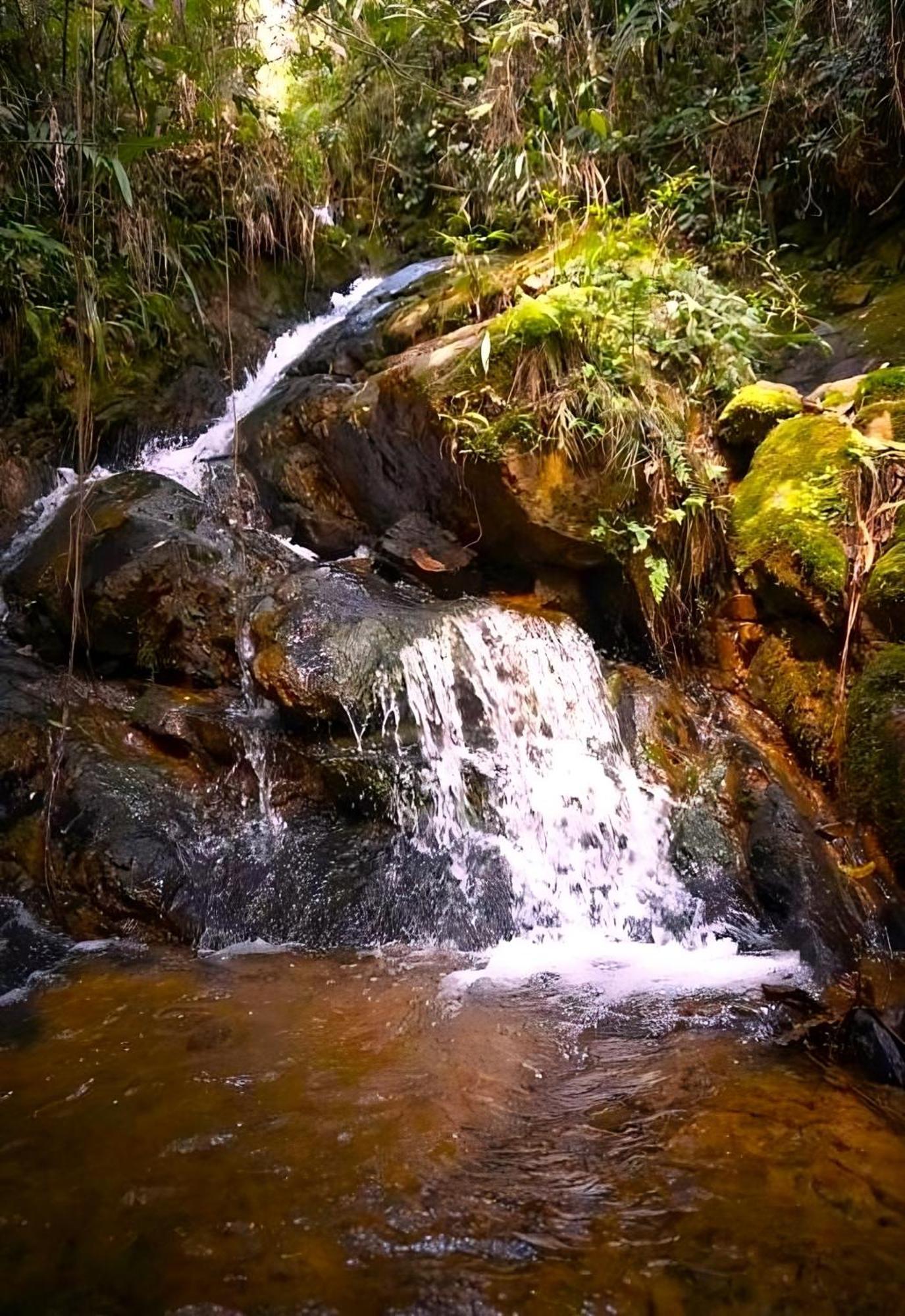 Encanto Minicasitas En Medio De La Naturaleza Santa Elena (Antioquia) Exterior foto