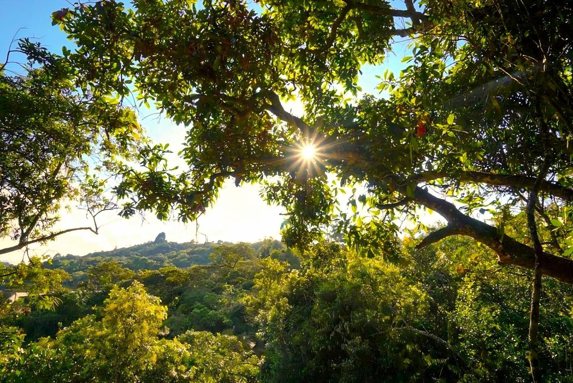 Encanto Minicasitas En Medio De La Naturaleza Santa Elena (Antioquia) Exterior foto