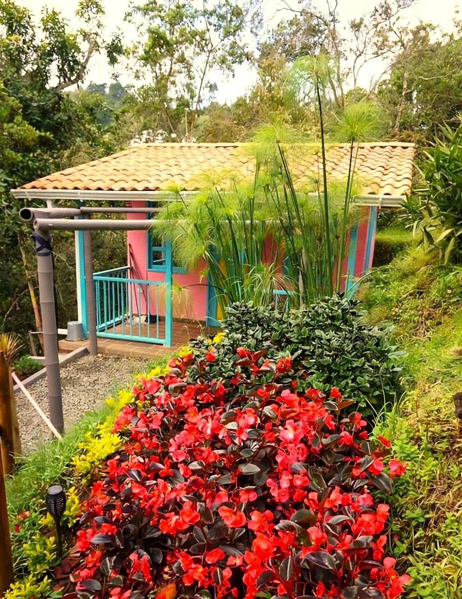 Encanto Minicasitas En Medio De La Naturaleza Santa Elena (Antioquia) Exterior foto